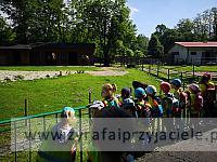 IMG 20190531 092022