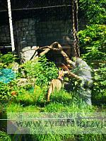 IMG 20190531 092453