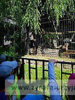 IMG 20190531 092536