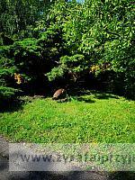 IMG 20190531 092947