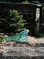 IMG 20190531 093055
