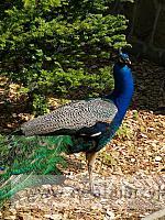 IMG 20190531 093107