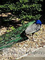 IMG 20190531 093110