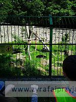 IMG 20190531 093137
