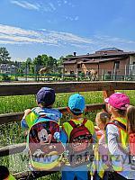 IMG 20190531 094213