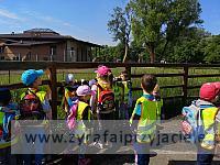IMG 20190531 094237