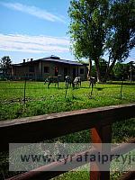 IMG 20190531 094432