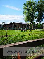 IMG 20190531 094433