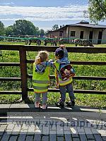 IMG 20190531 094452