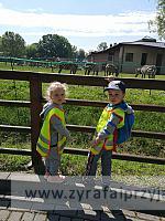 IMG 20190531 094503