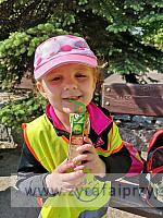 IMG 20190531 095552