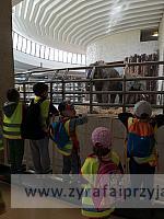 IMG 20190531 100613