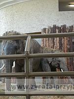 IMG 20190531 100646