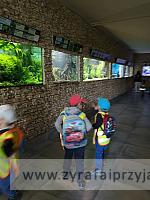 IMG 20190531 103059
