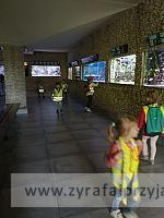 IMG 20190531 103105