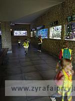 IMG 20190531 103105 1