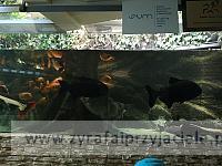 IMG 20190531 103121