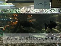 IMG 20190531 103122