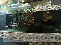 IMG 20190531 103123