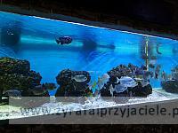 IMG 20190531 103138