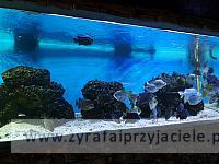 IMG 20190531 103140