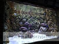 IMG 20190531 103144