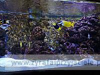 IMG 20190531 103207