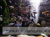 IMG 20190531 103223