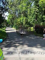 IMG 20190531 103318