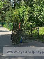 IMG 20190531 103323