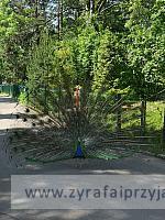 IMG 20190531 103324