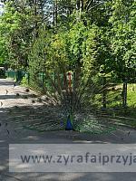 IMG 20190531 103325