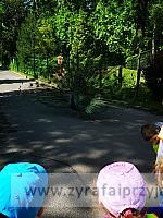 IMG 20190531 103352