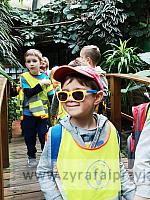 IMG 20190531 104603