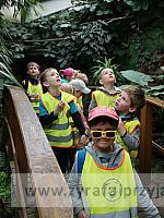 IMG 20190531 104605