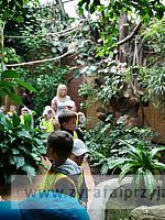 IMG 20190531 104623