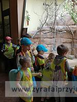 IMG 20190531 104733