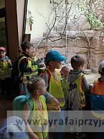 IMG 20190531 104734