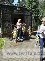 IMG 20190531 104838