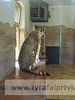 IMG 20190531 105214