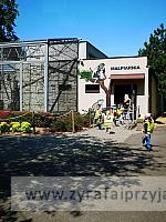 IMG 20190531 105859