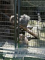 IMG 20190531 105936