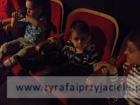 DSCF3814