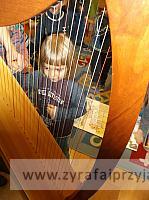 DSCF7275