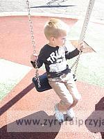 DSCF8141