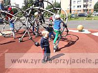 DSCF3518