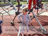 DSCF3524