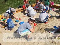 DSCF3637