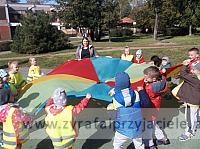 DSCF6356