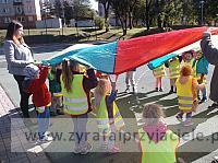 DSCF6367